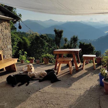 Vista Hostel Jeolikote, Nainital Patwa Dunga Habitación foto